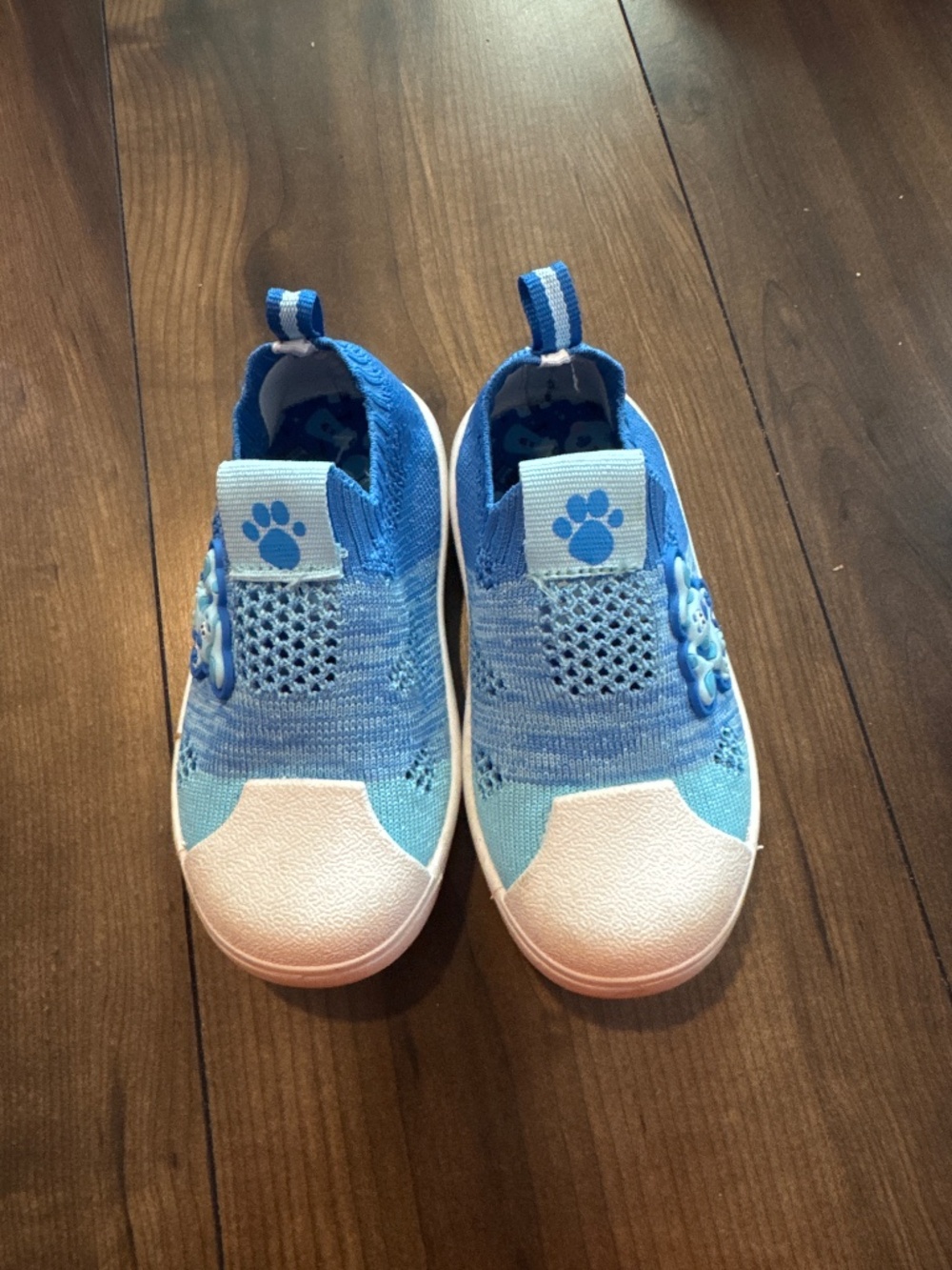 Toddler blues clues shoes
